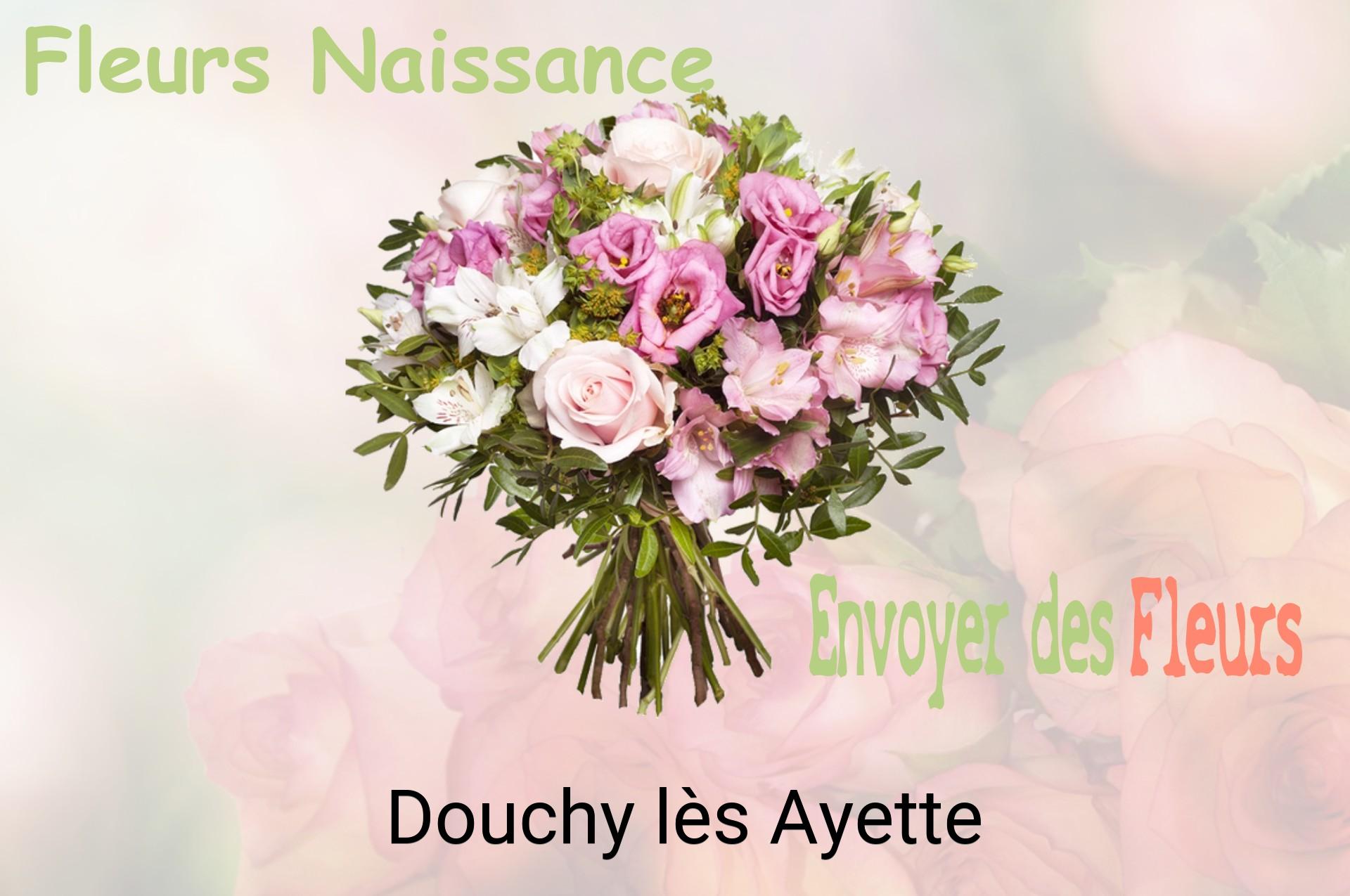 Bouquet de fleurs de naissance livré à Douchy-lès-Ayette
