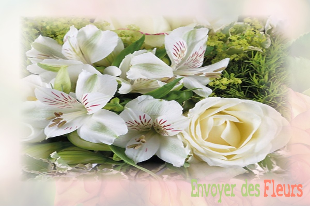envoyer des fleurs à à DOUCHY-LES-AYETTE